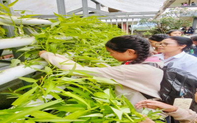 SMPN 1 Petang Integrasikan Budidaya Hidroponik ke dalam Kurikulum Kewirausahaan Sekolah